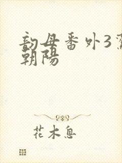 韵母番外3鸾凤朝阳