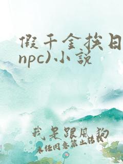 假千金挨日记(npc)小说