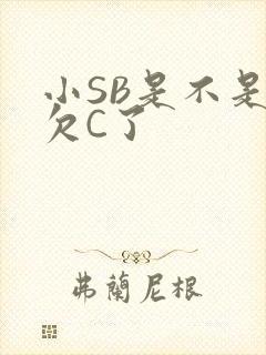 小SB是不是又欠C了