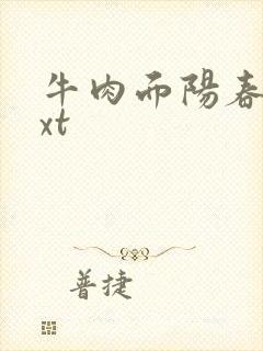 牛肉面阳春面txt