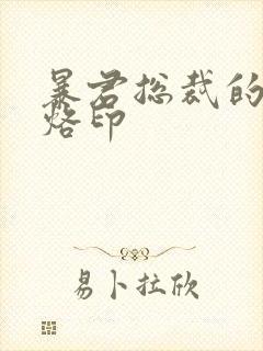 暴君总裁的狂烈烙印