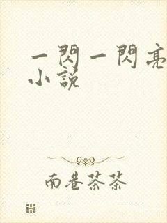 一闪一闪亮星星小说