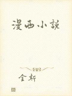 漫西小说