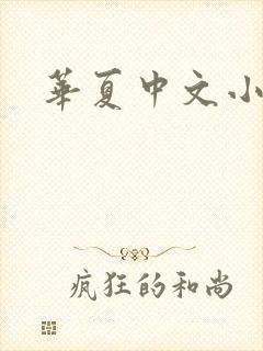 华夏中文小说网