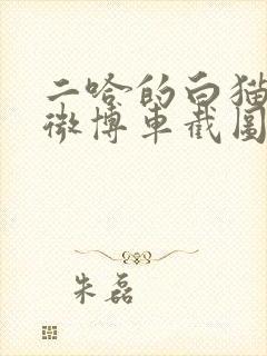 二哈的白猫师尊微博车截图