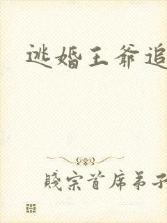 逃婚王爷追逃妃