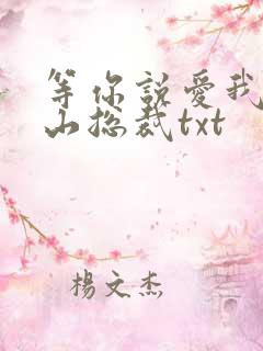 等你说爱我之冰山总裁txt