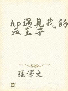 hp遇见我的混血王子