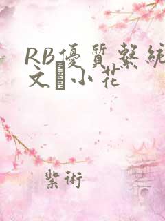 RB优质系统全文寀小花