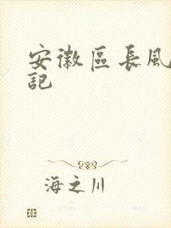 安徽区长风流日记