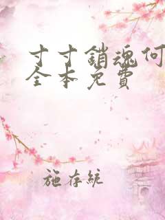 寸寸销魂何生祥全本免费