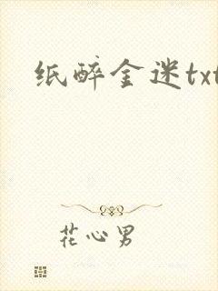 纸醉金迷txt