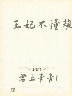 王妃不懂规矩