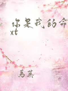 你是我的命运txt