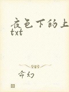 夜色下的上海滩txt