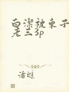 白洁被东子老二老三3p