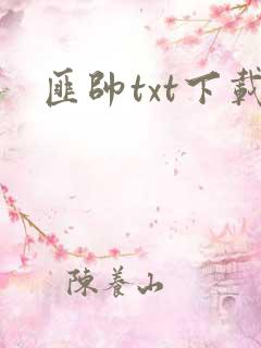 匪帅txt下载
