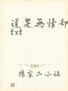 道是无情却有情txt