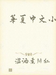 华夏中文小说网