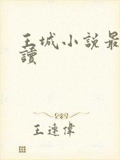 王城小说最近阅读