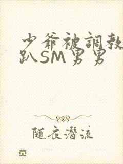 少爷被调教室跪趴SM男男