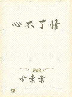 心不了情