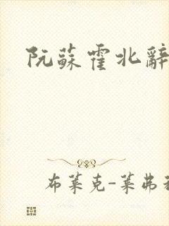 阮苏霍北辞小说