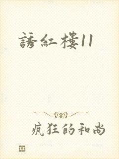 诱红楼11