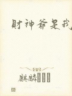 财神爷是我老板