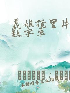 义姐镜里片微博数字车