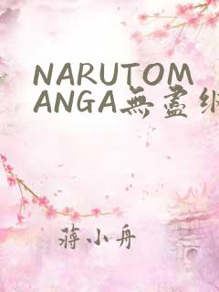NARUTOMANGA无尽纲手