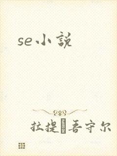 se小说