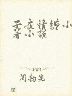 子夜情缠小说原著小说