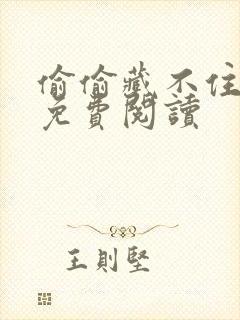 偷偷藏不住小说免费阅读