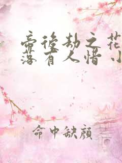 帝后劫之花开花落有人惜 小说