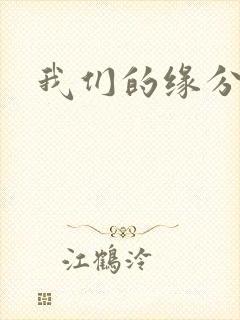 我们的缘分小说