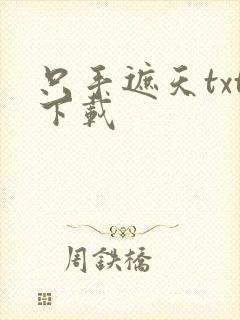 只手遮天txt下载