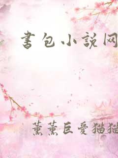 书包小说网