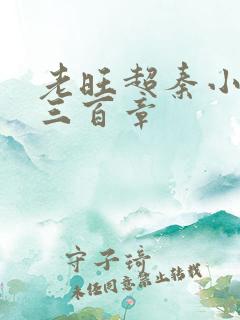 老旺超秦小雨第三百章