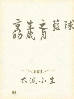 重生之篮球燃烧的岁月