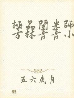 极品开光师李南方林青青小说免费阅读