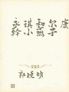 永琪和尔康一起干小燕子