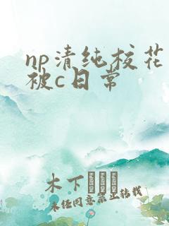 np清纯校花的被c日常