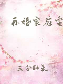 再婚家庭电视剧