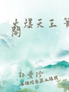 火爆天王 笔趣阁