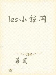 les小说网