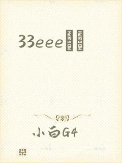 33eeeС˵
