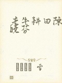 老牛耕田陈雪杨晓芬