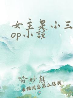 女主是小三的pop小说