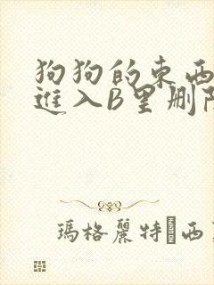 狗狗的东西直接进入B里删除